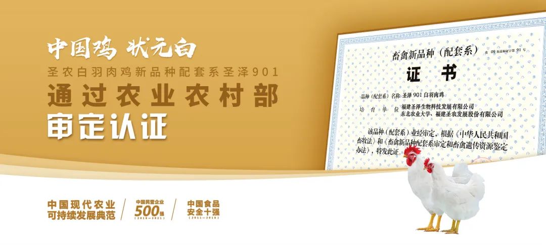 ±ØÍþ|±ØÍþ¡¤betway(China)¹Ù·½ÍøÕ¾